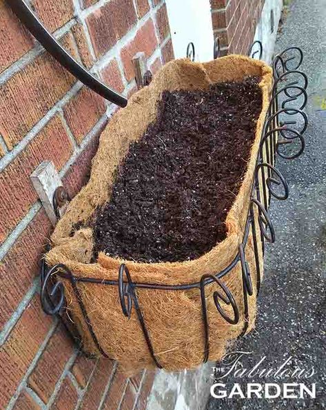 Making a Coco Liner Fit an Oblong Planter Basket - The Fabulous Garden Coco Liner Planters, How To Cut Coconut, Round Basket Liner Pattern, Coconut Husk Planter, Coconut Hanging Planters, Coconut Fiber Planter, Window Baskets, Hanging Baskets Diy, Coconut Wraps