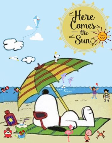 Snoopy:  Here Comes the Sun via GIPHY Beach in the summer, dancing, play, fun, kites, sea creatures Under An Umbrella, Woodstock Snoopy, Snoopy Funny, Snoopy Images, Peanuts Cartoon, Peanuts Characters, Snoopy Wallpaper, Snoopy Quotes, Snoopy Pictures