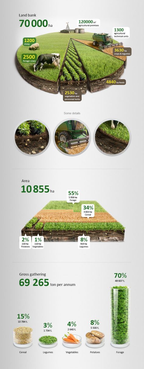 85 Incredible Data Visualization Examples 3d Data Visualization, Data Visualization Examples, Build Your Own Website, Data Visualization Design, Food Infographic, Annual Report Design, Holding Company, Newspaper Design, Website Creation