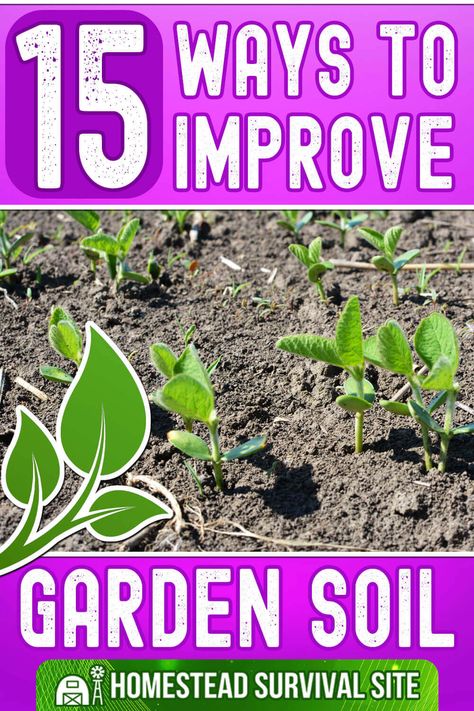 Improving the quality of your garden soil is both simple and complicated. It's less work than you think, but there are many ways to do it. Adobe Garden, Homesteading Life, Homestead Lifestyle, Survival Garden, Homesteading Ideas, Easy Gardening, Survival Gardening, Urban Survival, Plant Diseases