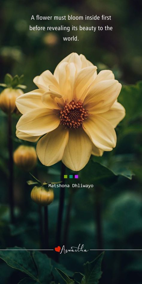 quotes Flower Quotes Short Beautiful, Flower Quotes Short, Leaves Quotes, Yoga Captions, Nature Thoughts, Short Nature Quotes, Nature Quotes Beautiful, Flower Quote, Nature Photography Quotes