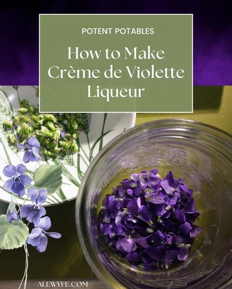 APOTHECARY: How to Make Homemade Creme de Violettes Liqueur Apothecary Cocktails, Passion Spell, Violet Liqueur, Magic Apothecary, Drinks Homemade, Aviation Cocktail, Liqueurs Recipes, Diy Drinks, Eat Seasonal