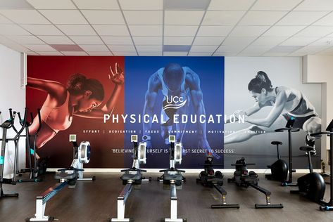 Gym Mural Wall Art, Sports Training Facility, College Gym, Massage Room Design, Gym Wall Art, Gym Design Interior, Gym Images, Gym Wall Decal, Gym Wallpaper