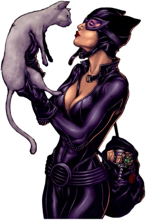 Pretty Kitty.. Anne Hathaway Catwoman, Catwoman Comic, Kaptan Jack Sparrow, Catwoman Selina Kyle, Batman Catwoman, Gotham City Sirens, Best Comic Books, Indie Comic, Cat Women