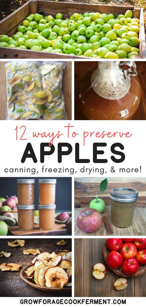 Preserve Apples, Preserving Apples, Canning Apples, Freezing Apples, Canned Food Storage, Canned Apples, Long Term Food Storage, Apple Season, Fruit Preserves