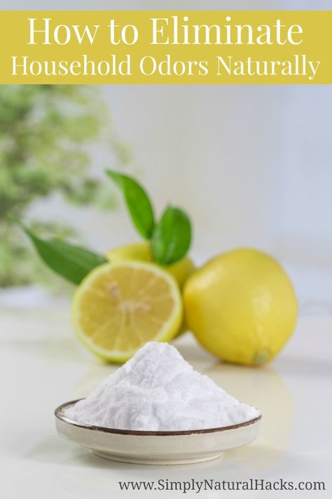 Use these tips to learn natural ways to eliminate household odors. Instructions include preventing odors & eliminating odors with activated baking soda, vinegar, activated charcoal, and essential oils. Baking Soda Odor Absorber, Natural Odor Eliminators, Odor Absorber Diy, Odor Eliminator House, Odor Eliminator Diy, Natural Room Deodorizer, Natural Odor Absorber, Natural Odor Remover, Room Deodorizer