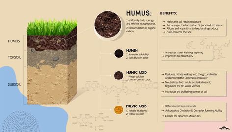 Fulvic Acid Benefits, Protect Water, Weird Thing, Humic Acid, Fulvic Acid, Health Heal, Top Soil, Holistic Medicine, Healthy Ideas