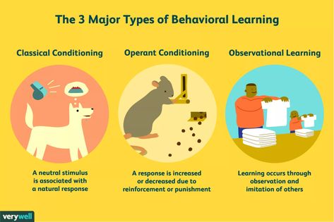 "The psychology of learning focuses on a range of topics related to how people learn and interact with their environments... Learning can be defined in many ways, but most psychologists would agree that it is a relatively permanent change in behavior that results from experience." Behaviorism. "The 3 major types of learning described by behavioral psychology are classical conditioning, operant conditioning, and observational learning." Influential People. | By Kendra Cherry | Updated: 2019 Classical Conditioning, Observational Learning, Intro To Psychology, Ap Psych, Learning Psychology, Behavioral Psychology, Operant Conditioning, Cognitive Psychology, Forensic Psychology