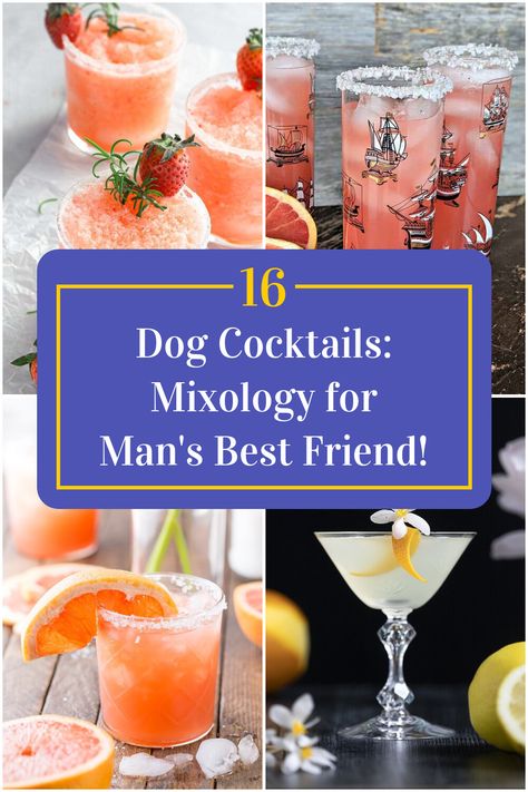 Collage of 4 dog cocktails. Dog Party Drink Ideas, Dog Theme Party Drinks, Pet Themed Wedding Drinks, Dog Drink Recipes, Dog Theme Cocktail, Dog Margarita Recipe, Dog Themed Alcoholic Drinks, Vet Med Themed Drinks, Dog Inspired Cocktails