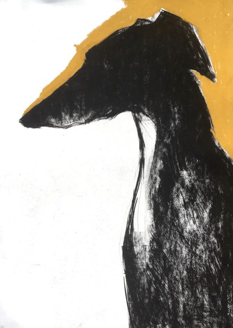 Sally Muir, London Gallery, Greyhound Art, Cubist Art, Art Diary, Dog Paintings, Art Icon, Art Business, Art Challenge