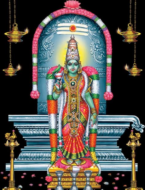 Kamakshi Wallpapers - Wallpaper Cave Meenakshi Amman Images Hd, Amman Images Hd, Amman Images, Saraswati Picture, Meenakshi Amman, Yashoda Krishna, Devi Images, Mysore Painting, God Wallpaper