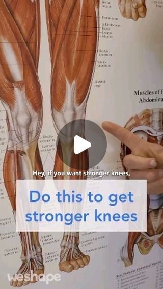 Knee Problems Types Of, Fluid On Knee Remedy, Strong Knees Workout, Strong Knees, Knee Anatomy, Yoga Poses For Digestion, Knee Pain Relief Exercises, Knee Health, Knee Pictures