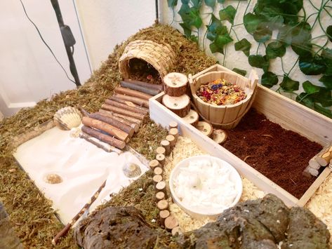 This is a 120x57x75cm glass tank set up of a deep bedding natural hamster enclosure. Bedding is 35cm at its highest point and 25cm at its lowest point. Substrates in photo: - Chipsi original wood shavings bedding - Komodo natural sand - Recycled tissue bedding - Coconut coir soil - Komodo moss The tunnel is a Cork bark tunnel from Pets at home and the flower forage is from hopes healthy treats Diy Hamster Stuff, Syrian Hamster Cages, Hamster Enclosure, Hamster Stuff, Pet Rodents, Hamster Habitat, Pets At Home, Wood Shavings, Hamster Cages