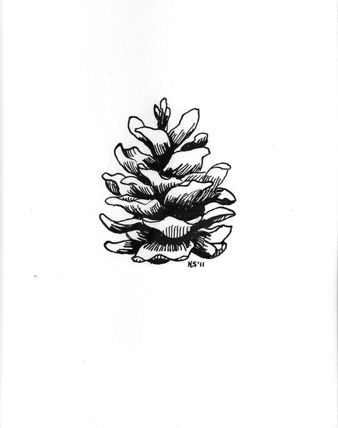 Micropen Art, Pinecone Tattoo, Boys With Tattoos, 자수 디자인, Nature Tattoos, Skin Art, Piercing Tattoo, Pine Cone, Lotus Flower Tattoo