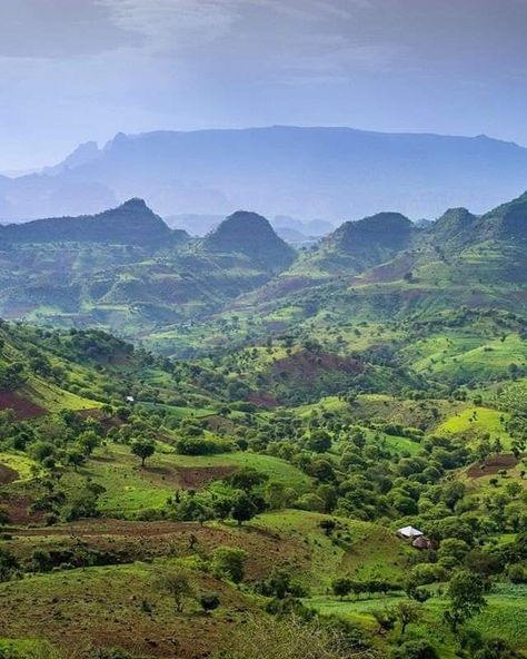 Simien Mountains Ethiopia, Black Numenorean, Ethiopian Landscape, Ethiopian Wolf, Ethiopian History, Airport Map, Ethiopian Culture, Weird Trees, Bird Eye View