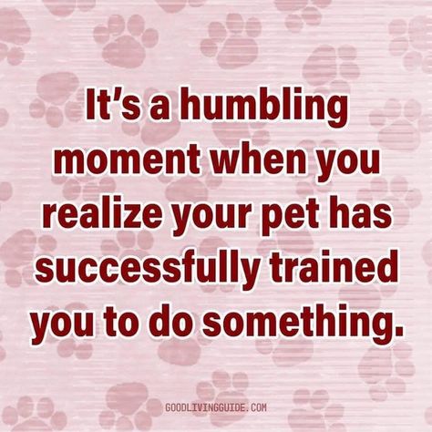 🙃🙃 Love Dog Quotes, Funny Dog Quotes, Dog Quotes Love, Dog Quotes Funny, Lovers Quotes, Dog Rules, Dogs Puppy, Quotes Love, Animal Quotes