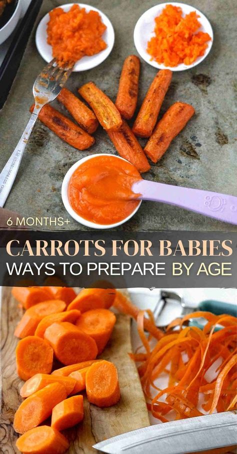 Carrots for babies Blw Carrots, Steamed Carrots In Microwave, How To Steam Carrots, Mashed Carrots Recipe, Steam Carrots, Carrot Baby Food, Steamed Baby Carrots, 6 Months Baby Food, Cooked Baby Carrots