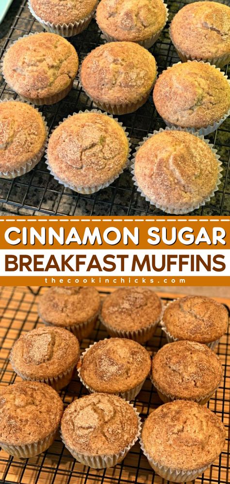 You're less than 20 minutes away from an easy breakfast on the go! Moist, fluffy, and not too sweet, these Cinnamon Sugar Muffins are a great way to start the day. Put this homemade muffin recipe on your back-to-school food! Cinnamon Pancake Muffins, Easy Cinnamon Muffin Recipes, Back To School Muffins, Cinnamon Donut Muffins, Healthy Breakfast Breads And Muffins, Brown Sugar Cinnamon Muffins, Homemade Muffin Recipe, Vanilla Muffins Recipe Easy, Cinnamon Roll Muffins Easy