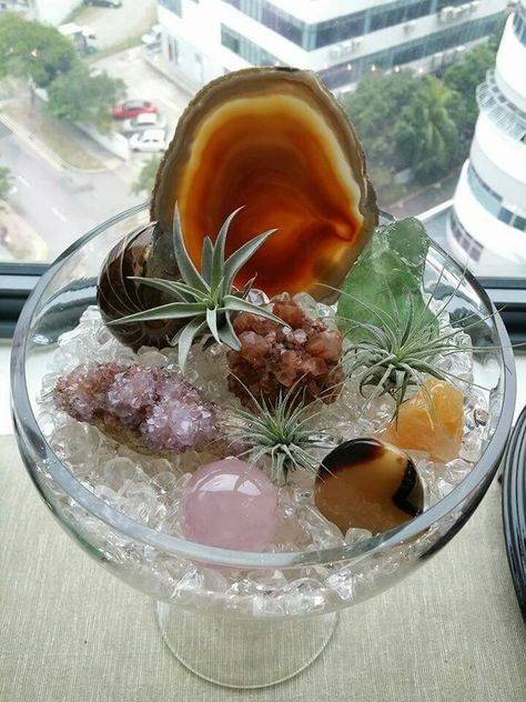 Terrariums Ideas, Crystal Room Decor, Miniature Greenhouse, Crystal Room, Plant Terrarium, Displaying Crystals, Air Plant Terrarium, Crystal Garden, Crystal Aesthetic