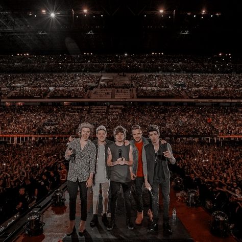 One Direction Concert Aesthetic, Gambar One Direction, One Direction Edits, One Direction Louis, One Direction Wallpaper, One Direction Concert, One Direction Photos, Harry Styles Cute, Concert Aesthetic