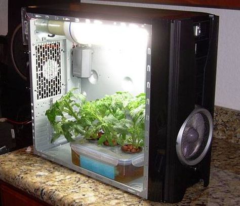 Hydroponic Grow Box, Alter Computer, Hydroponics Diy, Grow Boxes, Grow Room, Aquaponics System, Grow Tent, Indoor Gardens, Hydroponic Gardening