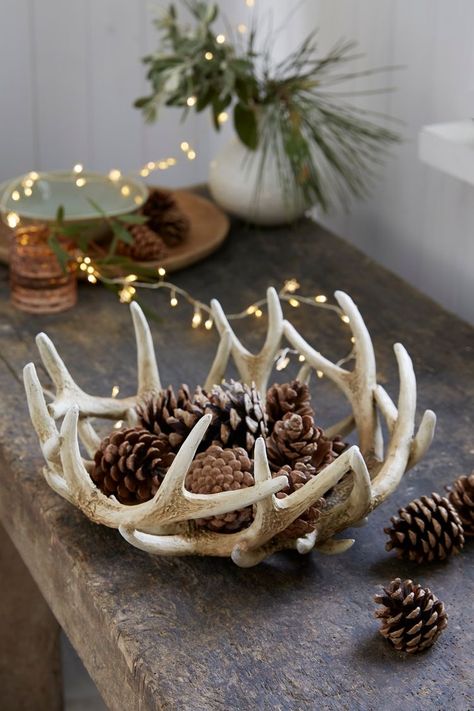 Ideas For Deer Antlers, Antler Table Decor, Antler Bowl, Deer Antler Crafts, Antler Ideas, Deer Antler Decor, Antlers Decor, Antler Christmas, Antler Crafts