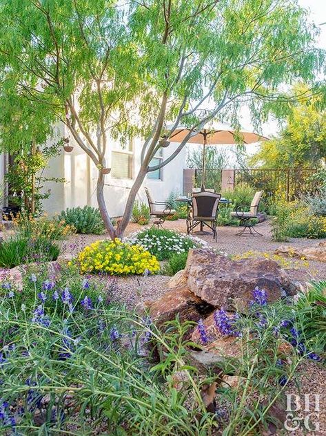 Xeriscape Ideas, Serene Backyard, Landscaping Patio, Xeriscape Landscaping, Desert Gardens, Concrete Patios, Landscape Rock, Gravel Patio, Sustainable Landscaping