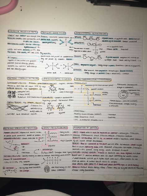 Biological Molecules A Level, A Level Biology Flashcards, Aqa A Level Biology, Flash Cards Ideas Study Science, Biological Molecules Notes, Biology Alevel Notes, A Level Biology Aesthetic, Flash Cards Revision, A Level Biology Notes