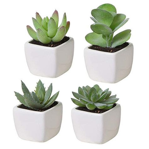 Assorted SucculentsNot only are these succulents adorable, but they require no water or sunlight—because they're plastic, obviously. They're true to size and come in stylish white ceramic planters.Buy it: Amazon, $20 White Ceramic Planter, Fake Plants Decor, Fake Succulents, Ceramic Planter Pots, Mini Succulents, Mini Plants, Artificial Succulents, Faux Succulents, Room With Plants