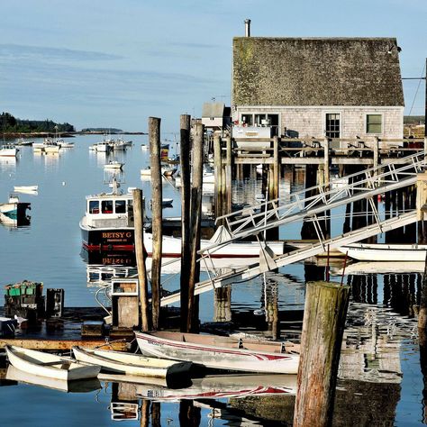 Friendship Maine, Maine Fishing, Maine Aesthetic, York Maine, Trout Fishing Tips, Fishing 101, Sporting Goods Store, Harbor Town, Fishing Photography