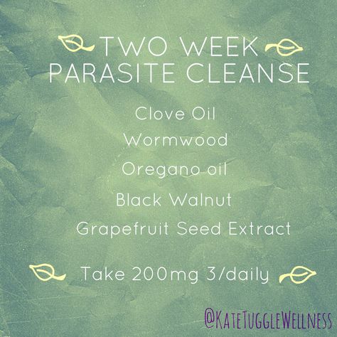 Herbal Parasite Cleanse, Oregano Oil Benefits, Parasite Cleanse, Health Cleanse, Yeast Infections, Grapefruit Seed Extract, Cleanse Diet, Oregano Oil, Health Food Store