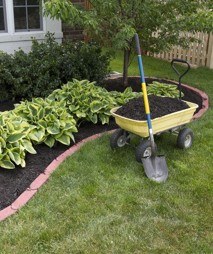 Hosta Plants in Front Yard | A plant pro reveals his top 5 picks. Inexpensive Landscaping, Front Yards, Low Maintenance Landscaping, Yard Work, Ideas Garden, Glass Garden, Outdoor Landscaping, Lawn And Garden, Mulch