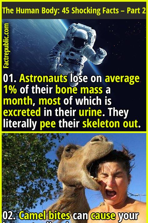 Interesting Science Facts Mind Blown, Facts About History, Science Facts Mind Blown, Body Facts, Science Knowledge, Human Body Facts, Fact Republic, Science Fact, Interesting Science Facts