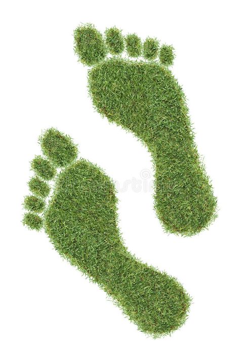 Green Footprints, Disney Movie Posters, White Nature, Rangoli Designs Diwali, Nature Walk, Motion Design Animation, Sustainable Energy, Wire Sculpture, Beautiful Nature Pictures