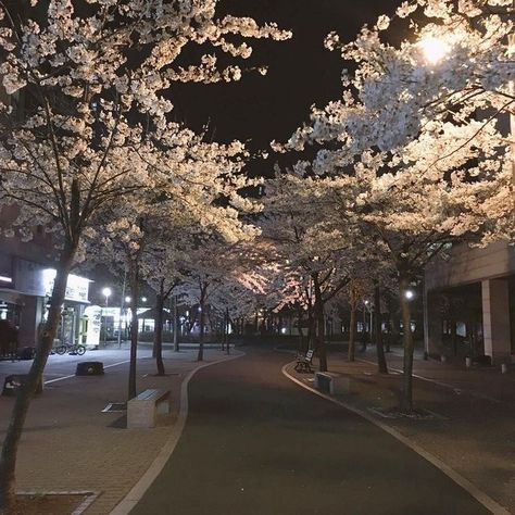 Dark Paradise, Japan Aesthetic, Aesthetic Japan, Night Aesthetic, City Aesthetic, Pretty Places, Busan, Aesthetic Photography, Pretty Pictures