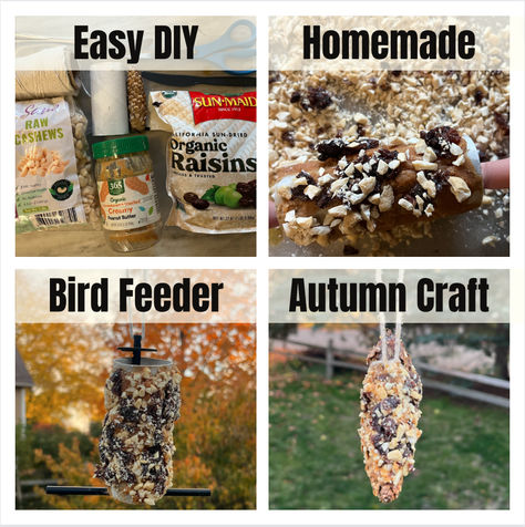 Want the easiest DIY homemade bird feeder with toilet paper roll or pine cone and peanut butter or seed butter and any nut, seed, fruit or whole grain? Try this 5 minute autumn craft for preschoolers or any age kid today! Peanut Butter Pinecone Bird Feeder, Peanut Butter Bird Feeder Diy, Peanut Butter Bird Feeder, Homemade Bird Feeder, Lauren Martin, Pine Cone Bird Feeder, Autumn Craft, Homemade Bird Feeders, Bird Treats