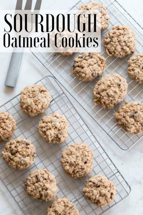 These soft and chewy sourdough oatmeal cookies are a super yummy treat packed with plump raisins and a hint of cinnamon. Whip them up for a quick dessert or long ferment them for better digestibility. #farmhouseonboone #sourdoughoatmealcookies #oatmealcookies #sourdough Maple Cookies Recipe, Sourdough Oatmeal, Recipe Using Sourdough Starter, Cookie Recipes Oatmeal Raisin, Healthy Oatmeal Cookies, Sourdough Starter Discard Recipe, Homemade Sourdough Bread, Quick Dessert, Sourdough Starter Recipe