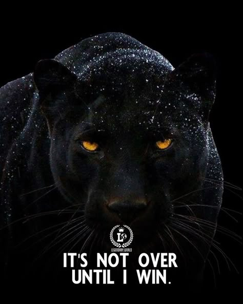 Legendary World in 2022 | Warrior quotes, Very inspirational quotes, Millionaire mindset quotes Animal Motivation Quotes, Lion Quotes Inspiration Motivation, Tiger Quotes Inspiration, Tiger Drawings, Empire Quotes, Quotes Millionaire, Tiger Quotes, Millionaire Mindset Quotes, Lion Quotes