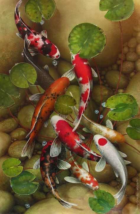 Click to Close Terry Gilecki, Karp Koi, Koi Fish Painting, Koi Painting, Koi Fish Drawing, Koi Art, Carpe Koi, Koi Fish Pond, Watercolor Fish