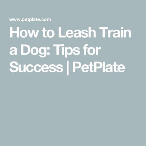 Puppy Leash Training, Leash Training Puppy, Loose Leash Walking, Puppy Leash, Train A Dog, Walking Your Dog, House Training Dogs, Good Citizen, Leash Training