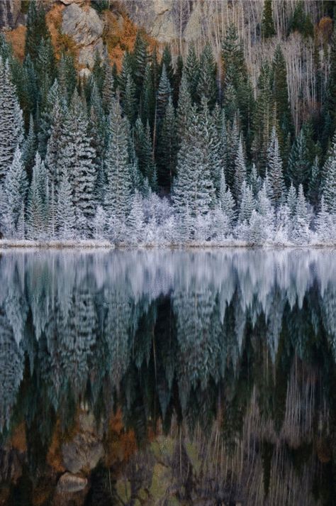 Charcoal Drawings, Amazing Views, Peaceful Places, Snow Scenes, Holiday Magic, Rocky Mountain National, Rocky Mountain National Park, Rocky Mountain, Winter Holiday