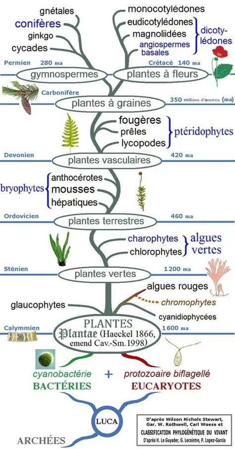 Biology Notes, Biology, Map, Quick Saves