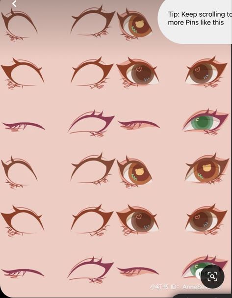 Eye’s for drawings Anime Style Eyes, Beginner Sketches, Realistic Eyes, Doll Drawing, Chibi Drawings, Best Cat, Creative Drawing, Anime Eyes, Eye Art