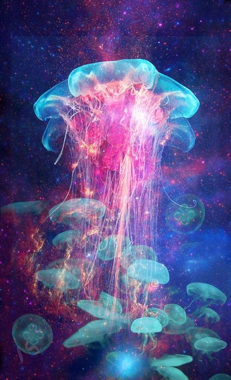 Aurelia aurita (also called the moon jelly, moon jellyfish, common jellyfish, or saucer jelly). Creature Marine, Under The Water, Beautiful Sea Creatures, Underwater Creatures, Underwater Life, Water Life, Deep Blue Sea, Ocean Creatures, Ocean Animals