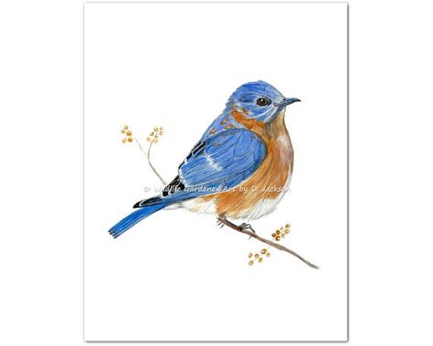 Bluebird Art, Bluebird Watercolor, Realism Watercolor, Bird Journal, Contemporary Watercolor Art, Blue Bird Of Happiness, Bluebird Of Happiness, Blue Bird Art, Bird Watcher Gifts