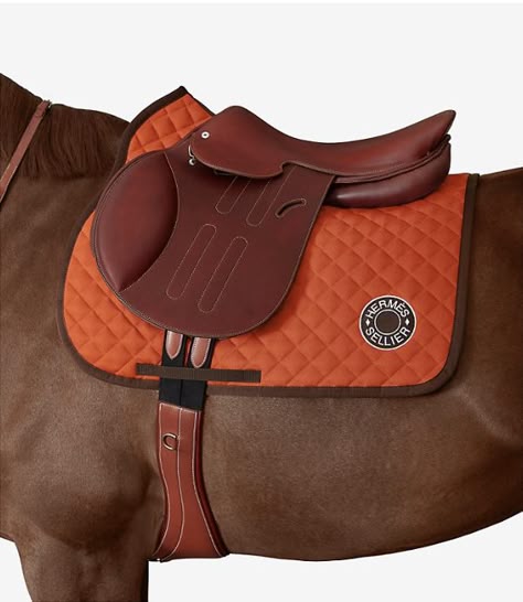 Hermès Equestrian Equestrian Aesthetic, Jumping Saddle, Equestrian Chic, Horse Inspiration, Horse Fashion, Equestrian Girls, Equestrian Lifestyle, Enjoy The Ride, Horse Equestrian