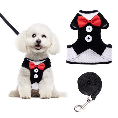 Cat Harness and Leash, Nobleza Small Dog Harness with Soft Breathable Air Mesh, Adjustable Walking Harness and Leash Set for Cat Leash And Harness, Best Cat Harness, Kitten Harness, Cat Harness And Leash, Harness And Leash Set, Walking Harness, Small Dog Harness, Cat Leash, Puppy Harness