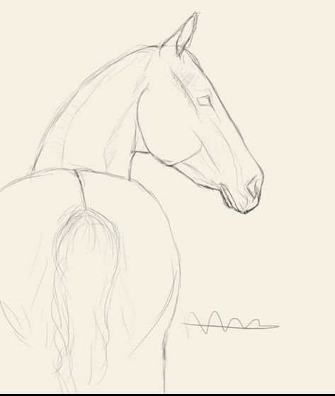 Horse Drawing Tutorial, Imagination Drawing, Horse Art Drawing, Disney Character Drawings, Horse Sketch, Unique Drawings, Horse Drawing, Horse Drawings, Realistic Drawings