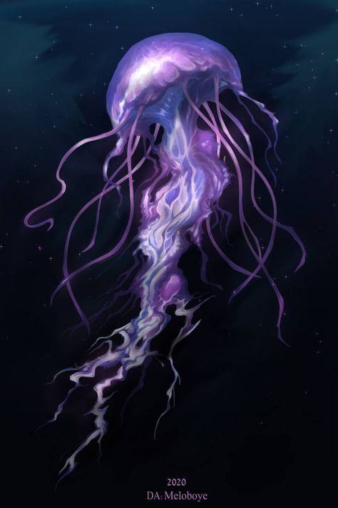 Violet Stun Gun by Meloboye on DeviantArt Jellyfish Desktop, Giant Jellyfish, Wallpapers For Ipad, Rocky Coastline, Jellyfish Wallpaper, Sea Jellies, Jellyfish Painting, Fauna Marina, Underwater Painting