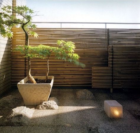 Balcony & Terrace ZEN on Pinterest | Balcony Garden, Japanese ... Japanese Balcony, Zen Balcony, Privacy Screen Plants, Balcony Privacy Screen, Garden Privacy Screen, Japanese Style Garden, Apartment Balcony Garden, Balcony Privacy, Screen Plants